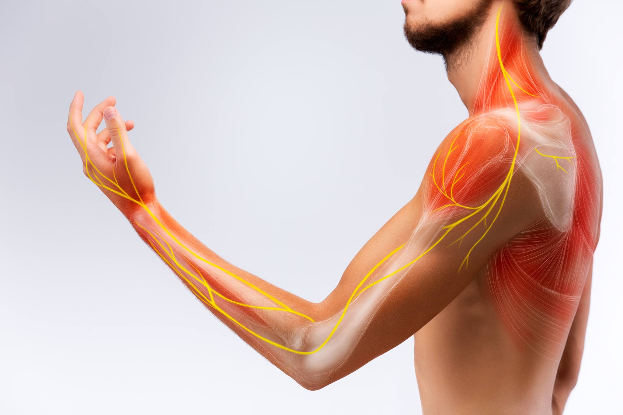 muscles arm pain shoulder pain