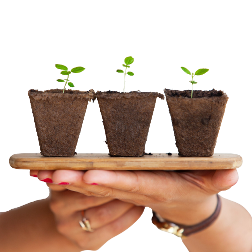 The Power of PEMF Therapy: Exploring Its Benefits and Why You Should Try It 1 daniel oberg sEApBUS4fIk unsplash scaled removebg preview