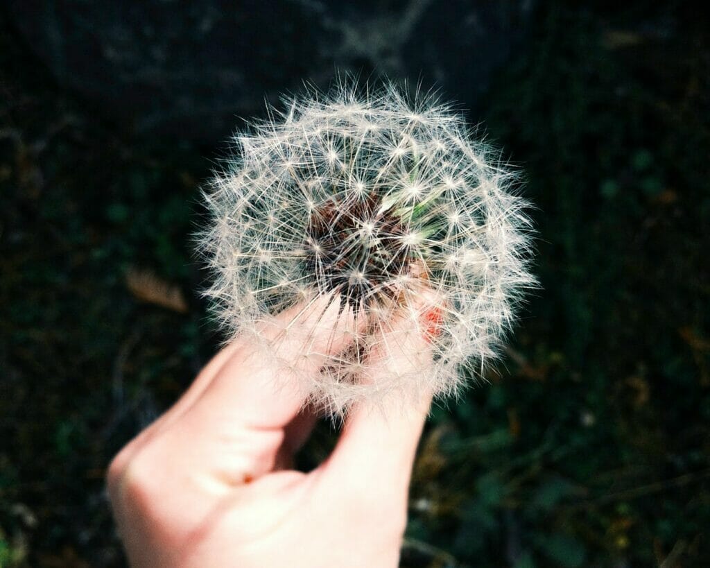 7 Evidence-Based Ways to Find Allergy and Congestion Relief in Airdrie 1 coley christine GyvMk5pPDXI unsplash